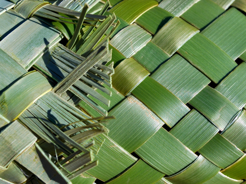 Wāhine Māori and breast cancer